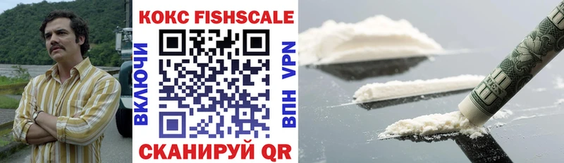 Купить закладки  Вязьма  Кокаин Fish Scale 