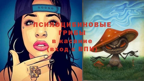 гидропоника Козельск